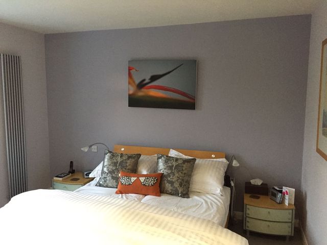 Bedroom with grey painted walls, a framed canvas and a wooden headboard