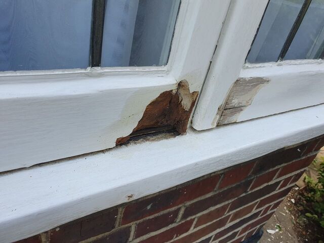 Painted window and sill with a stripped patch of bare timber above red brickwork