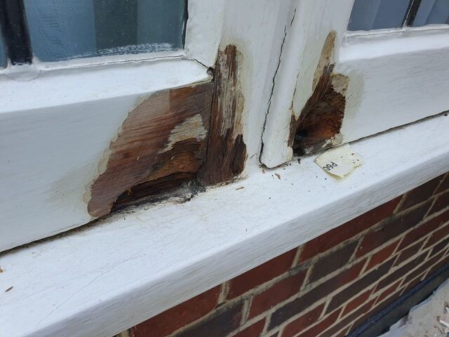 White painted window and sill with bare timber exposed at the bottom rail above red brick