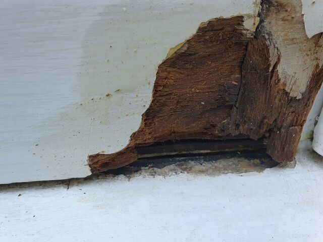 Bare decayed timber at the base of a white painted window frame above a painted sill